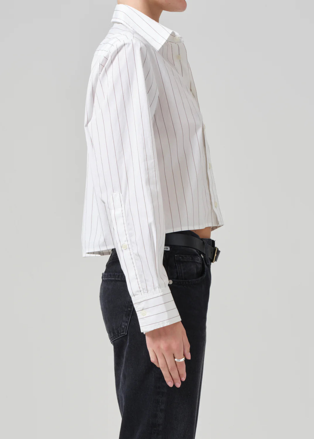 Fino Cropped Shirt in Clove Stripe